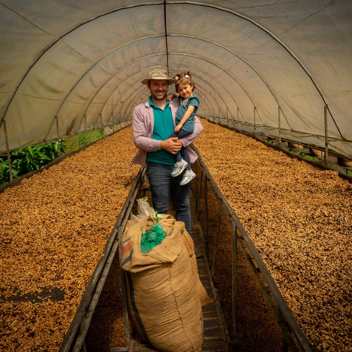 Costa Rica El Mango Cafea de Specialitate
