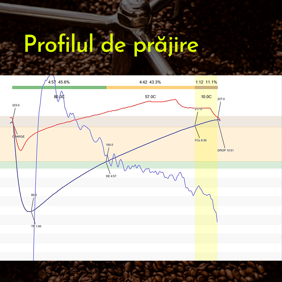 Profilul de prăjire