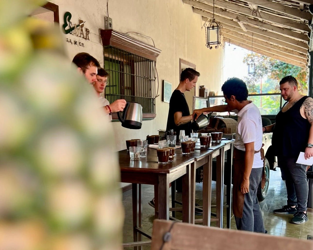 From Washed to Experimental: A Journey Through Coffee Processing at Cafescal - 112 Coffee Roastery