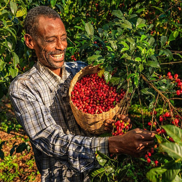 Carpathian Blend arabica/robusta Cafea de Specialitate