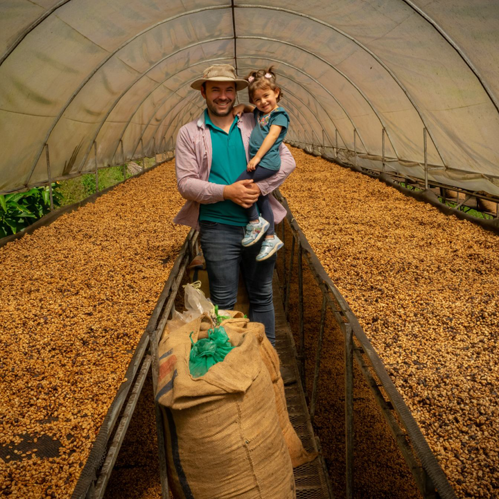 Costa Rica La Catarata Cafea de Specialitate