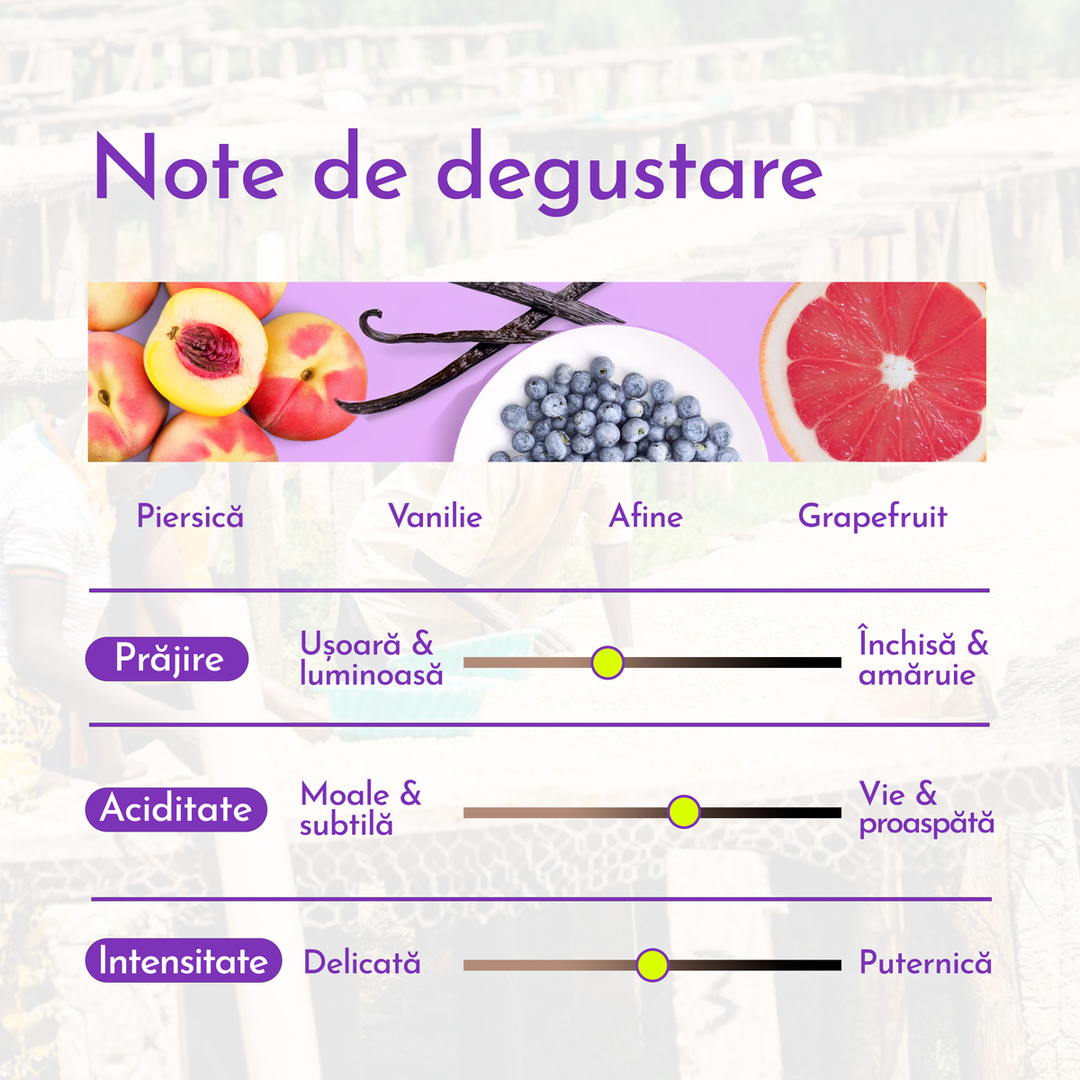 Burundi Nyagishiru & Busasa Cafea de Specialitate