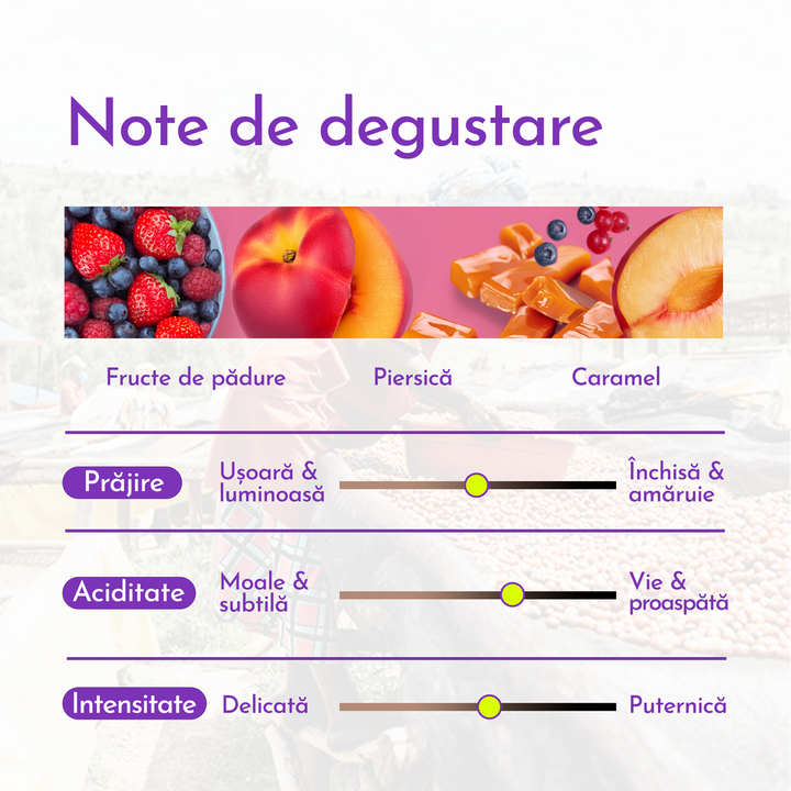 Rwanda Tropic Cafea de Specialitate