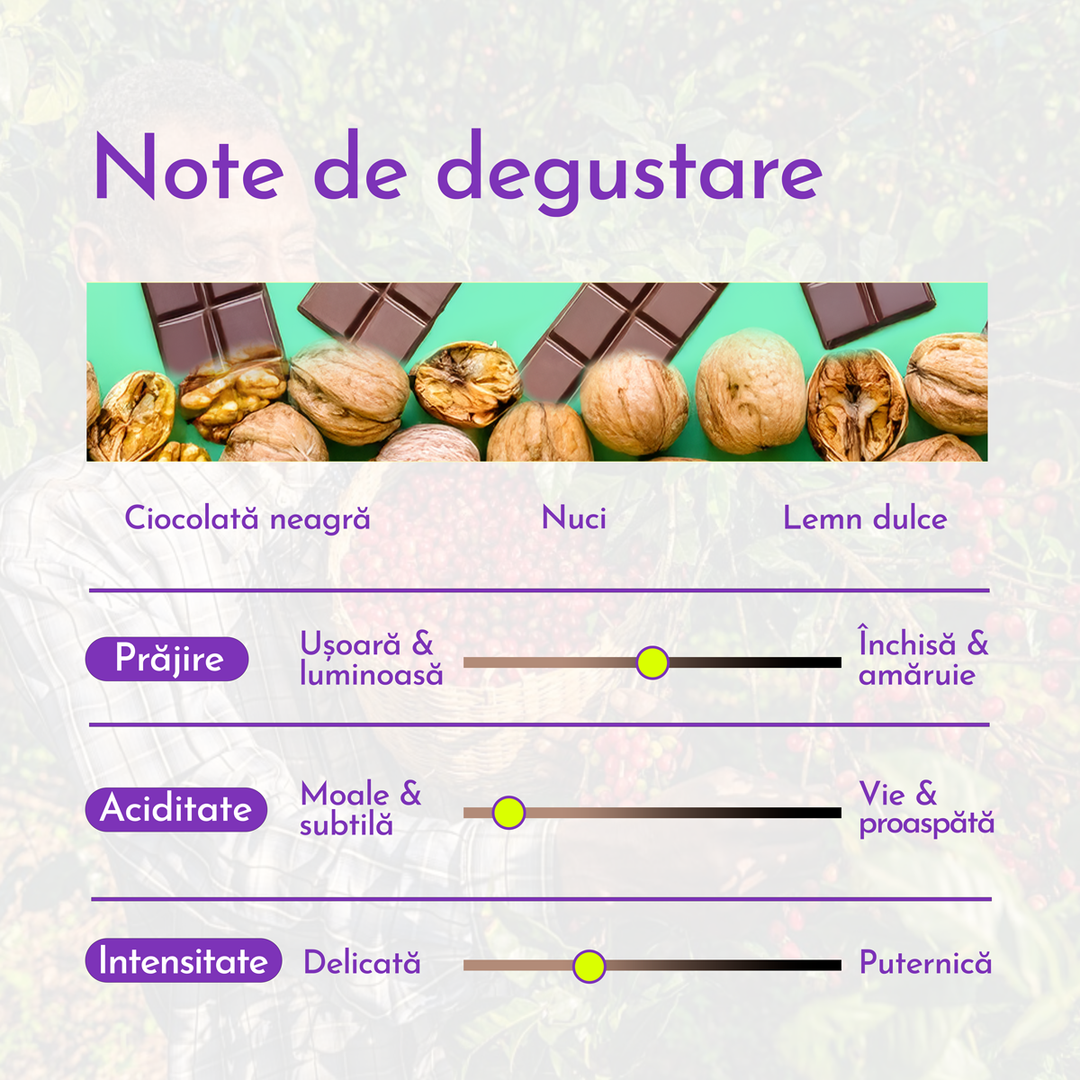 Carpathian Blend arabica/robusta Cafea de Specialitate