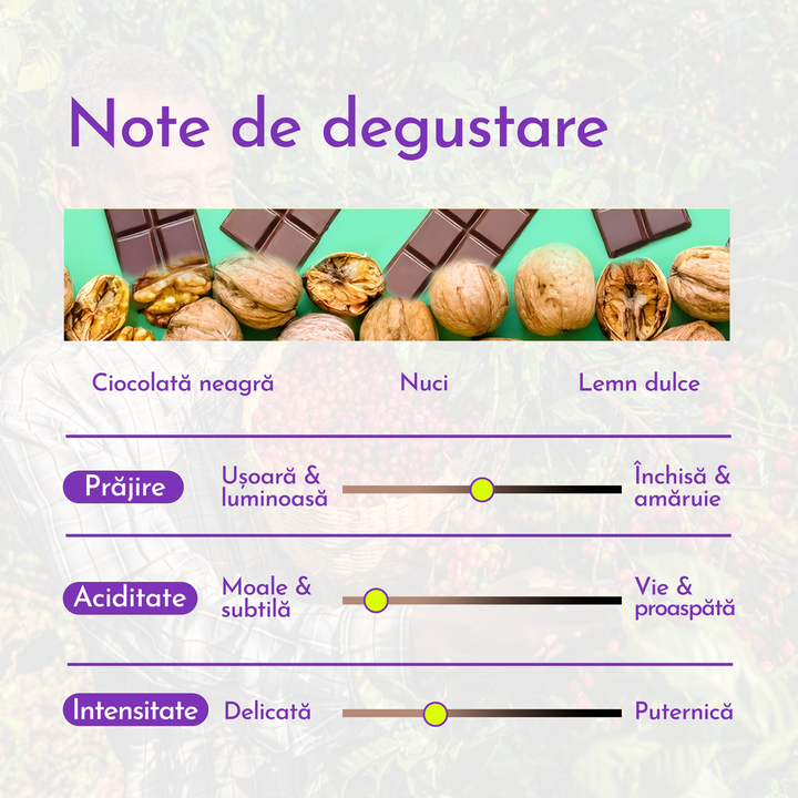 Carpathian Blend arabica/robusta Cafea de Specialitate