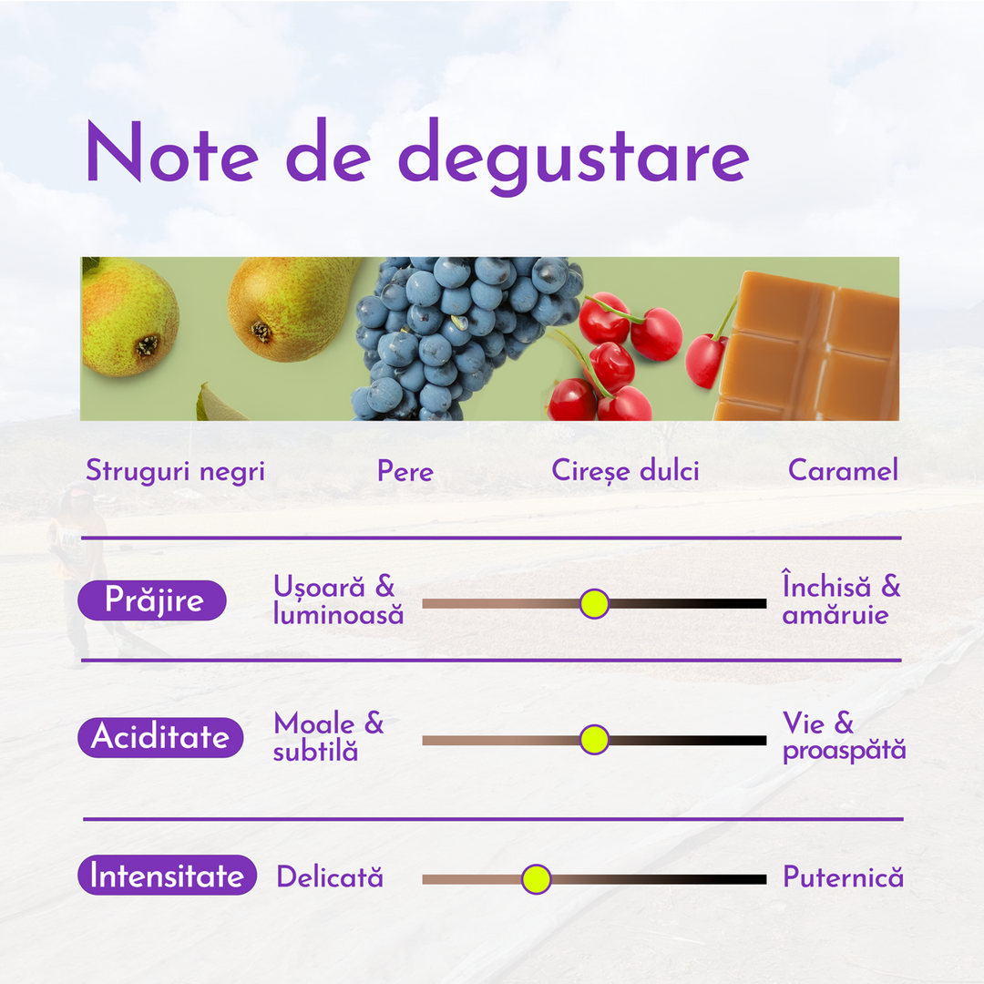 Honduras Caviflor Cafea de Specialitate