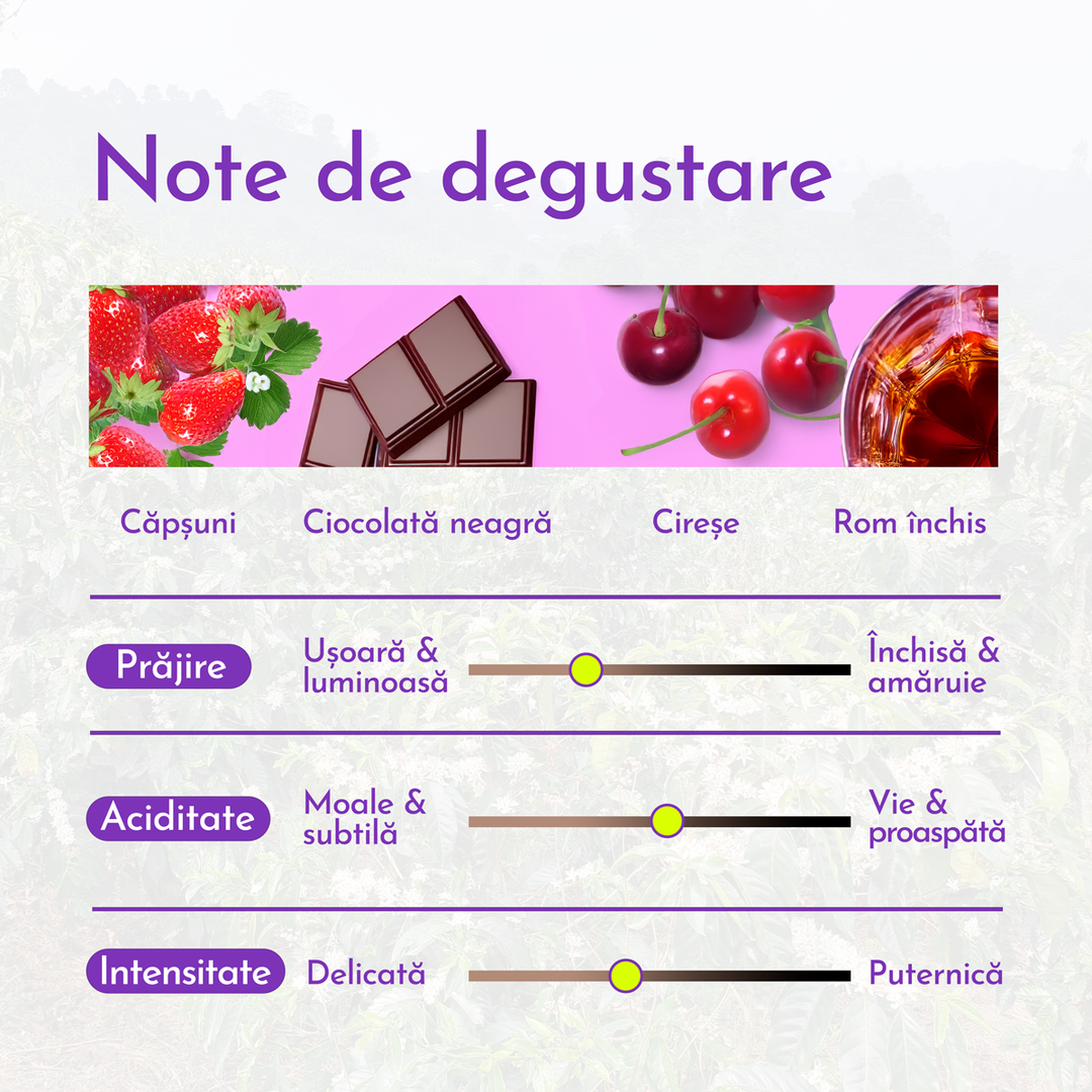 Honduras El Jardin Cafea de Specialitate