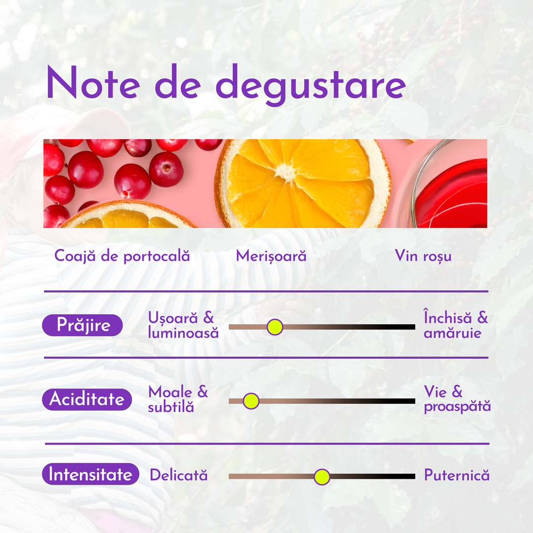 El Salvador Hacienda Dorada Cafea de Specialitate