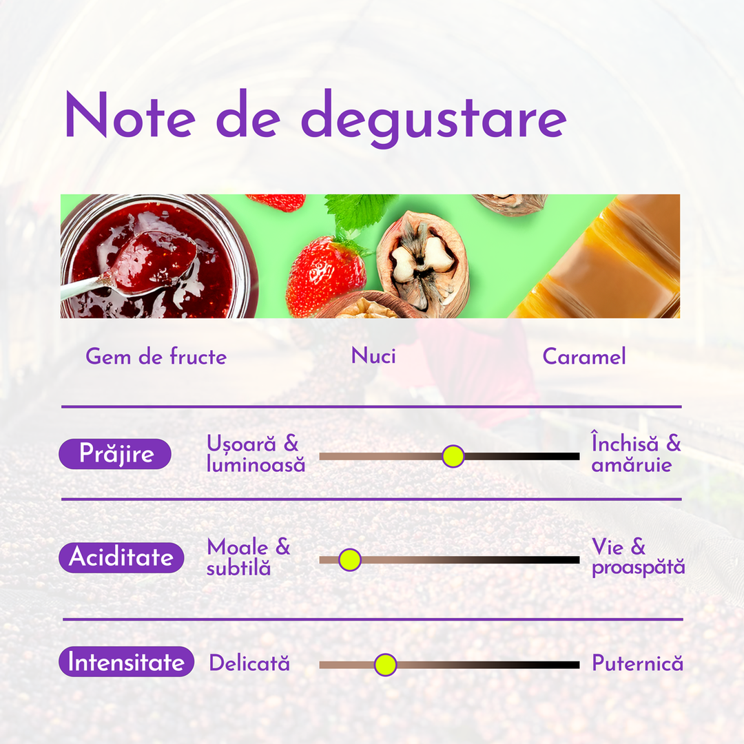 Italian Roast arabica/robusta Cafea de Specialitate