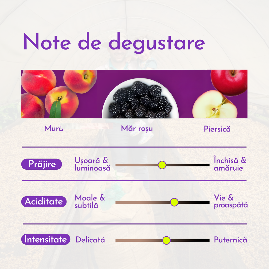 Costa Rica La Catarata Cafea de Specialitate