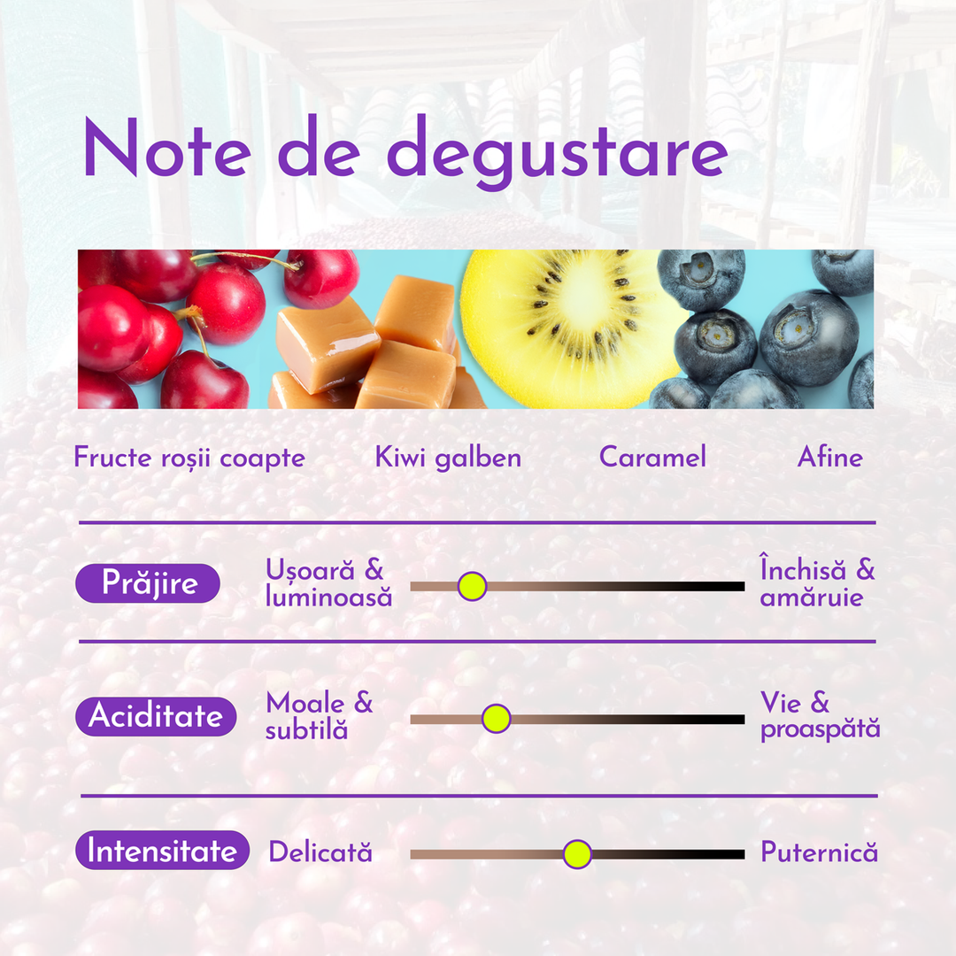 El Salvador Las Marias Cafea de Specialitate