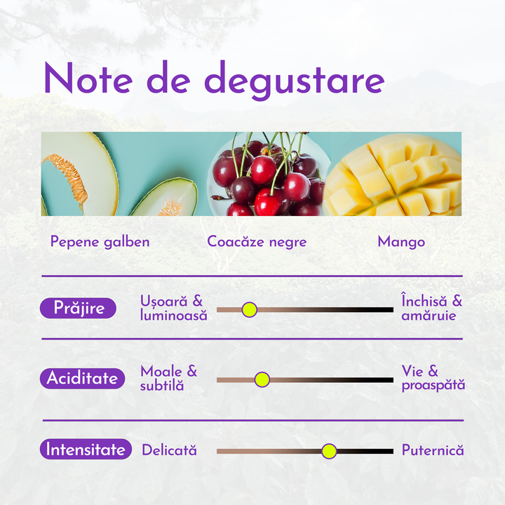 Honduras Matazano Cafea de Specialitate