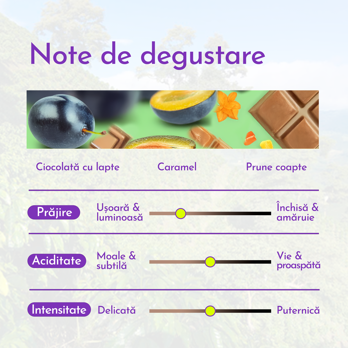 Note de degustare - Columbia Medellin