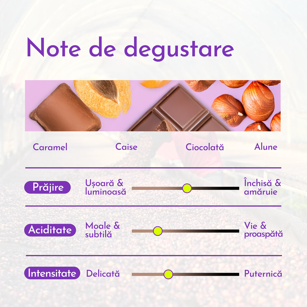 Mélange de Transylvanie – 1Kg.