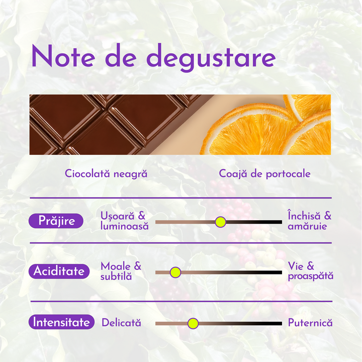 Vietnam Robusta Cafea de Specialitate