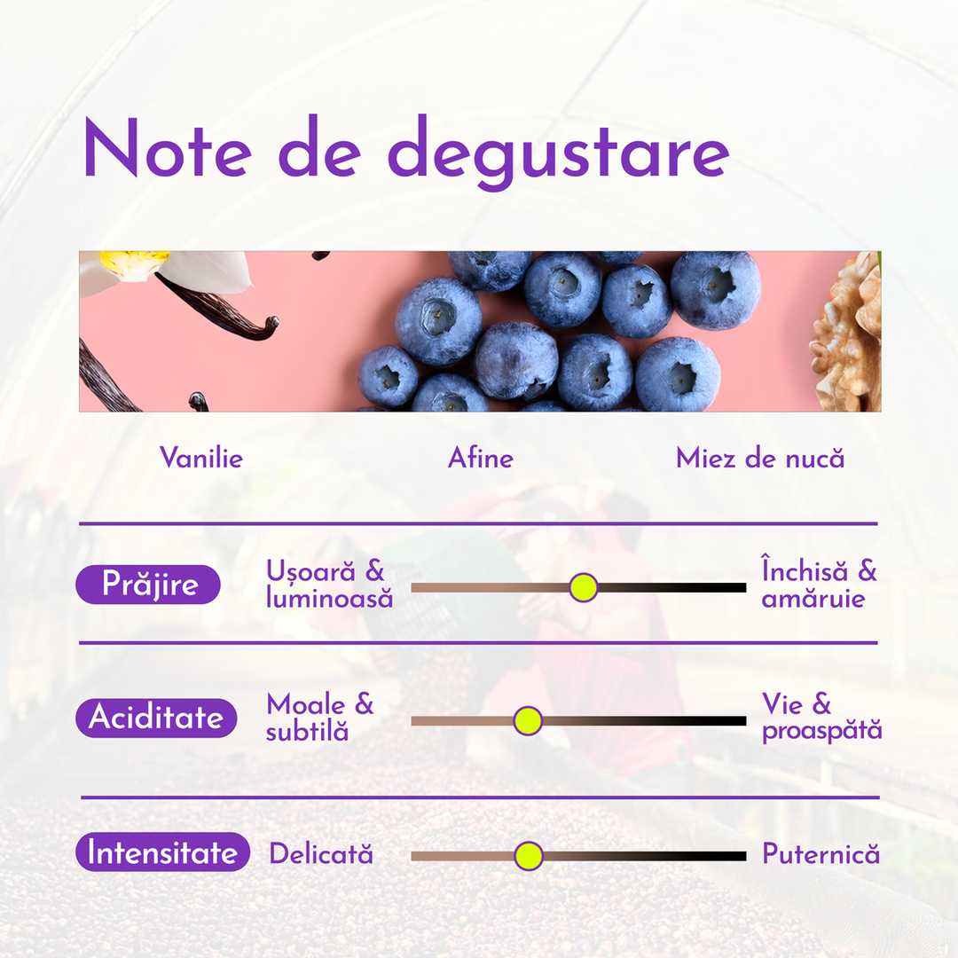 Brazilia Diamond Cafea de Specialitate