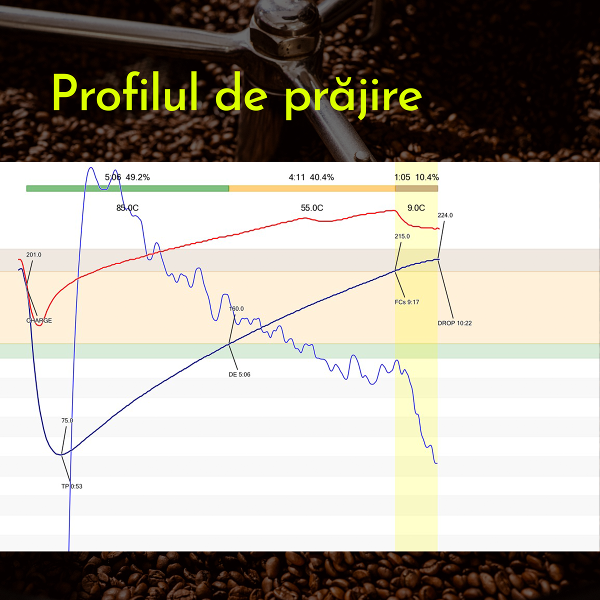 Profilul de prăjire