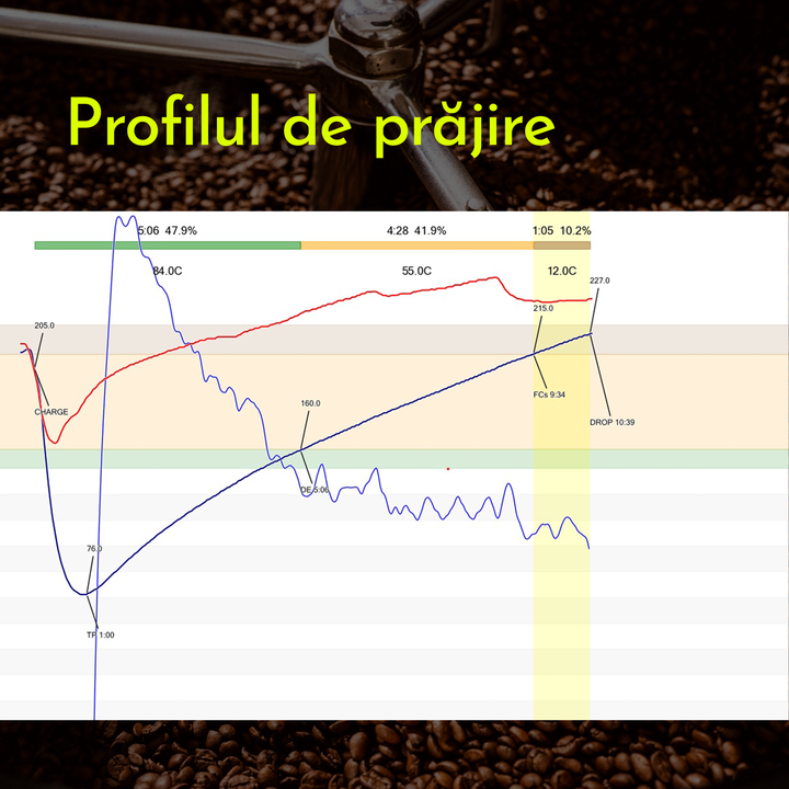 Burundi Nyagishiru & Busasa Cafea de Specialitate