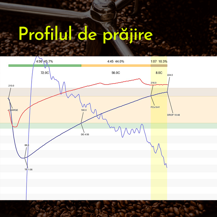 Etiopia Decofeinizată Cafea de specialitate