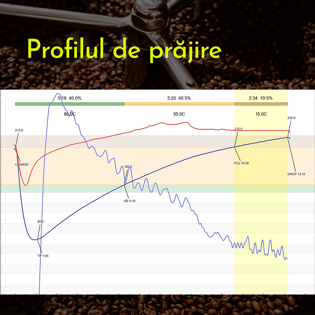 Robusta du Vietnam – 1Kg.