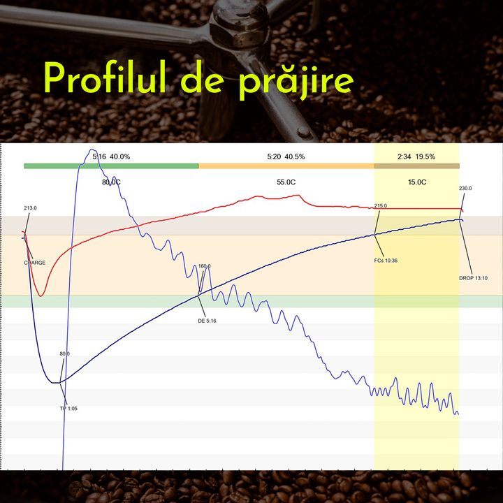 Robusta du Vietnam – 1Kg.
