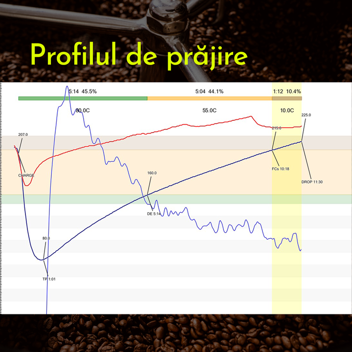 Ethiopia Guji - Hambela Cafea de Specialitate