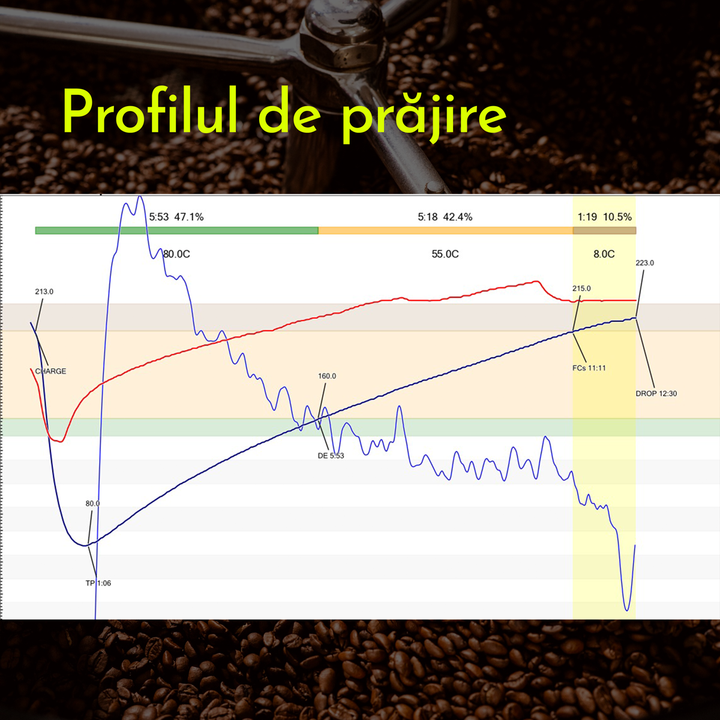 Rwanda - Gisanga Cafea de Specialitate