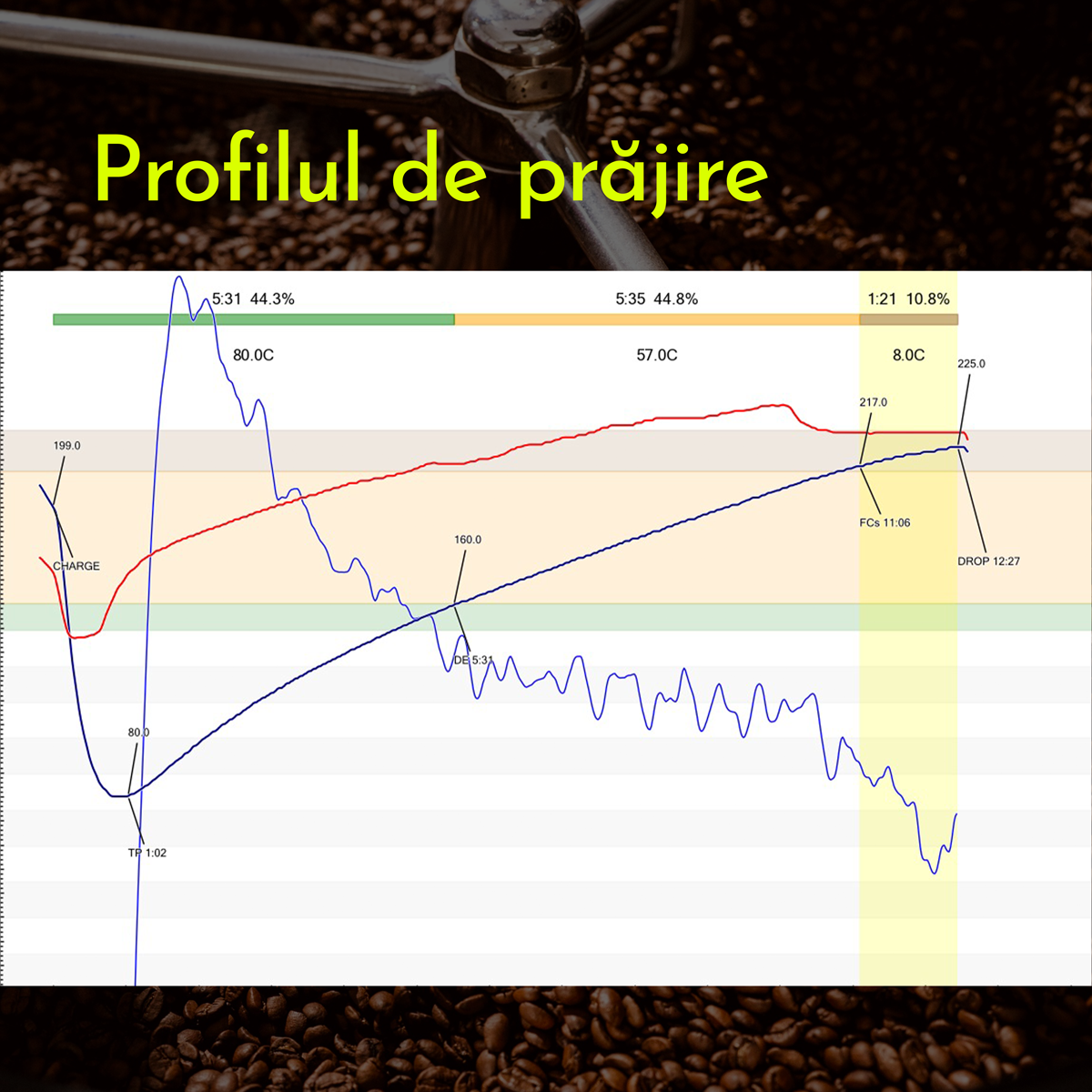 profil