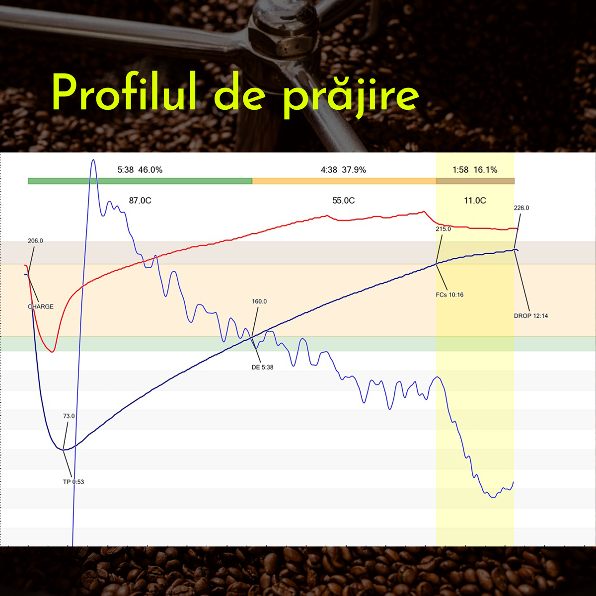 Profilul de prăjire