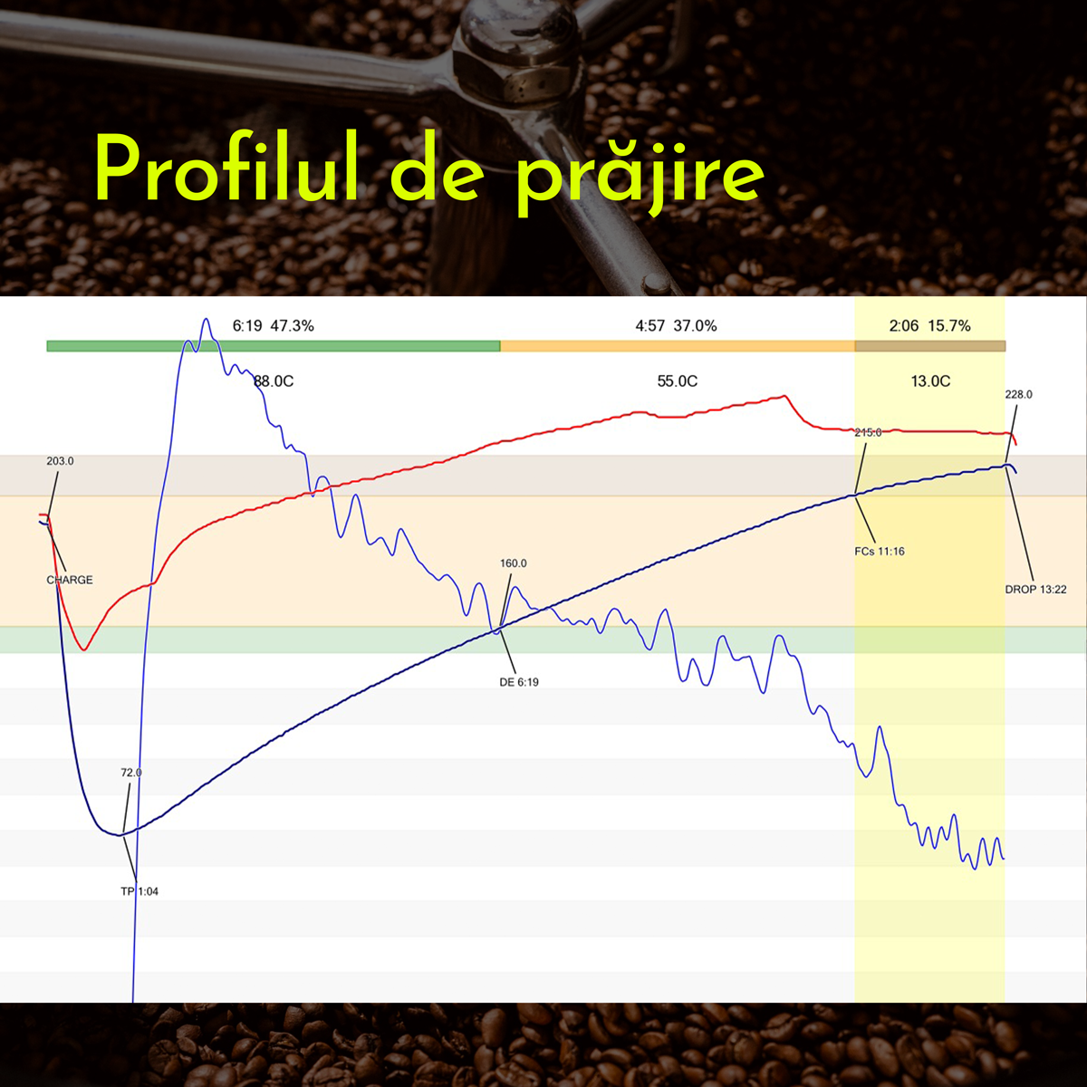 Profilul de prăjire