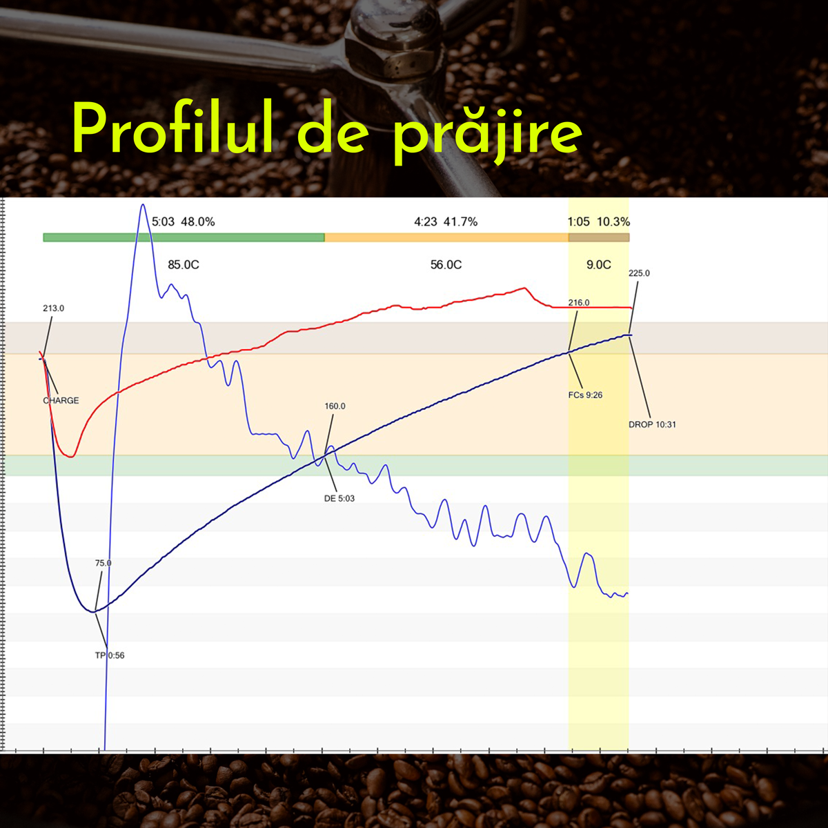 Profilul de prăjire