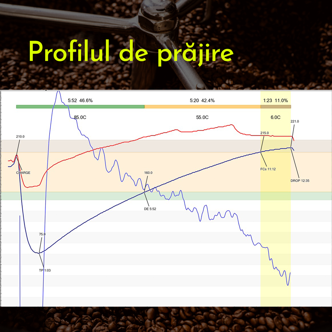 Columbia Medellin Cafea de Specialitate
