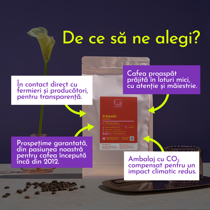 Ethiopia Sidamo Cafea de Specialitate